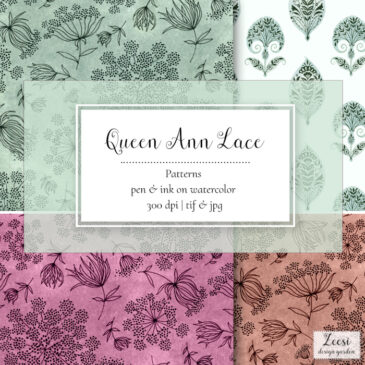 Queen Anne Lace Patterns