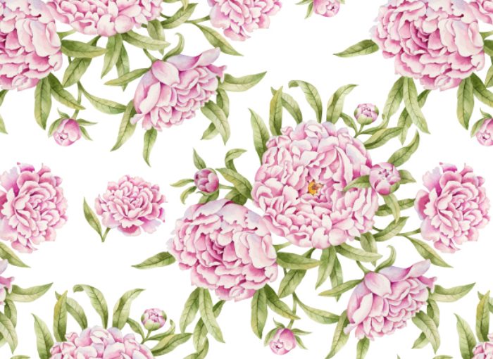 about peony floral-1 about peony floral-1